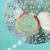 SeaSpaGlowwithrocksandoyster.webp