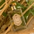 Eau de Parfum Orange Blossom, 100 ml - Woda Perfumowana z Kwiatem Pomarańczy